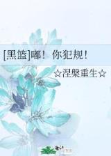 打眼小说 作者：大金彩票App下载