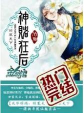 一品闺秀 作者：九游会平台